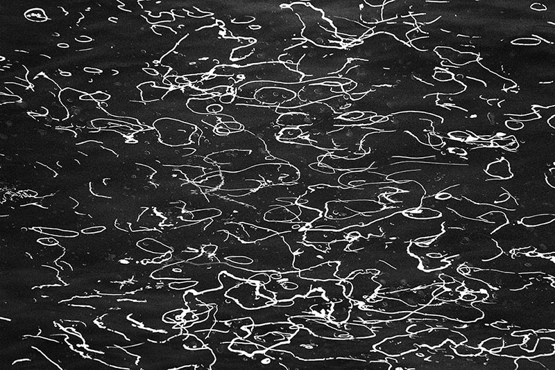 11122016__MG_6015