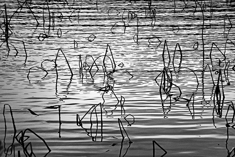 12042022__MG_0219